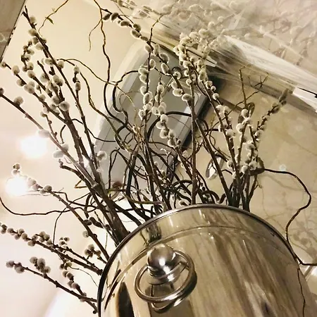 Downtown Studio Διαμέρισμα Ντουμπρόβνικ